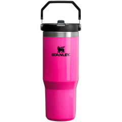 The Neon IceFlow™ Flip Straw Tumbler | 30 OZ - Stanley Create